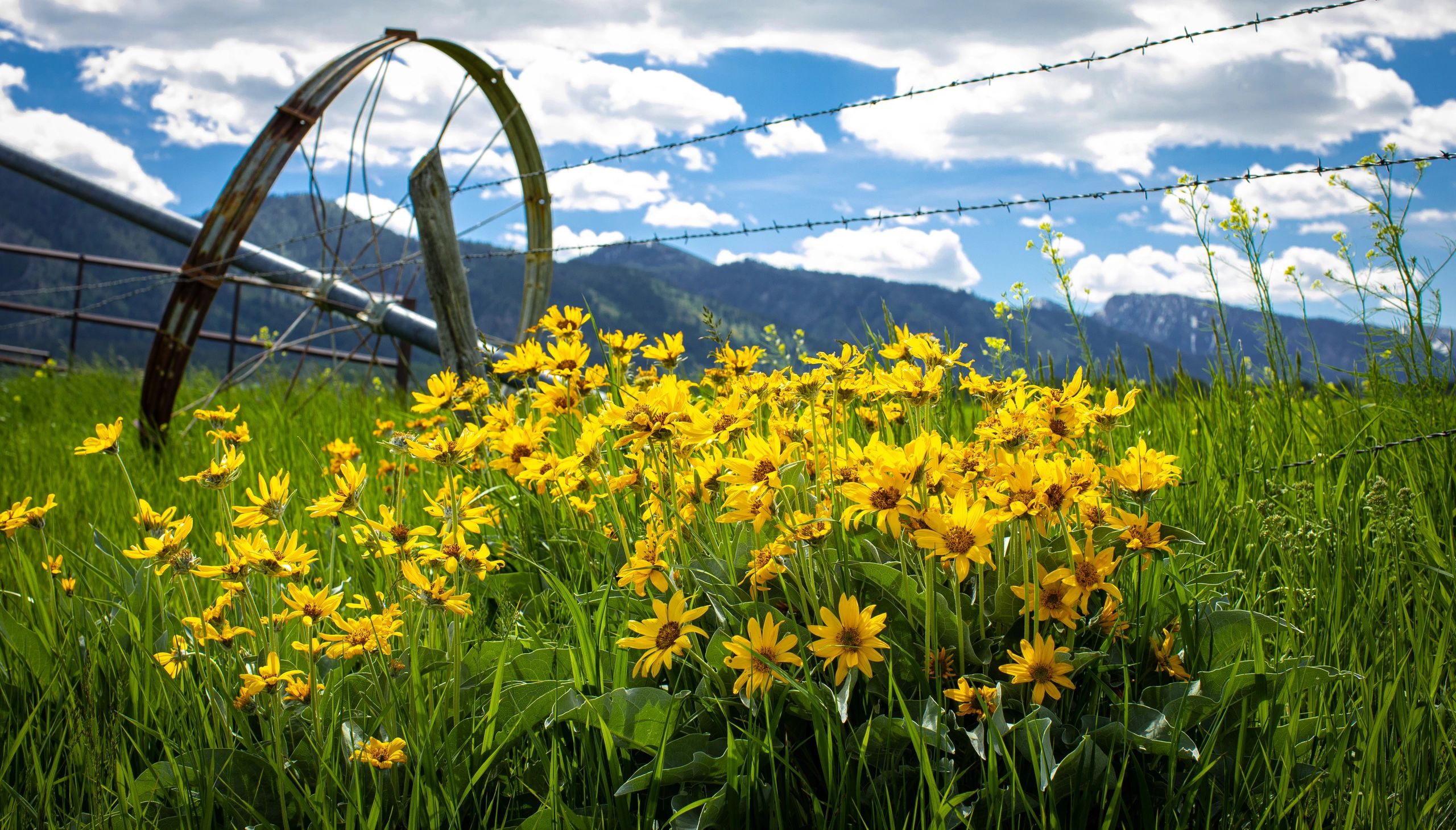 Mountain View Property Management Home